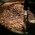How Specialty Coffee Roasters Source the Finest Beans for Your Cup